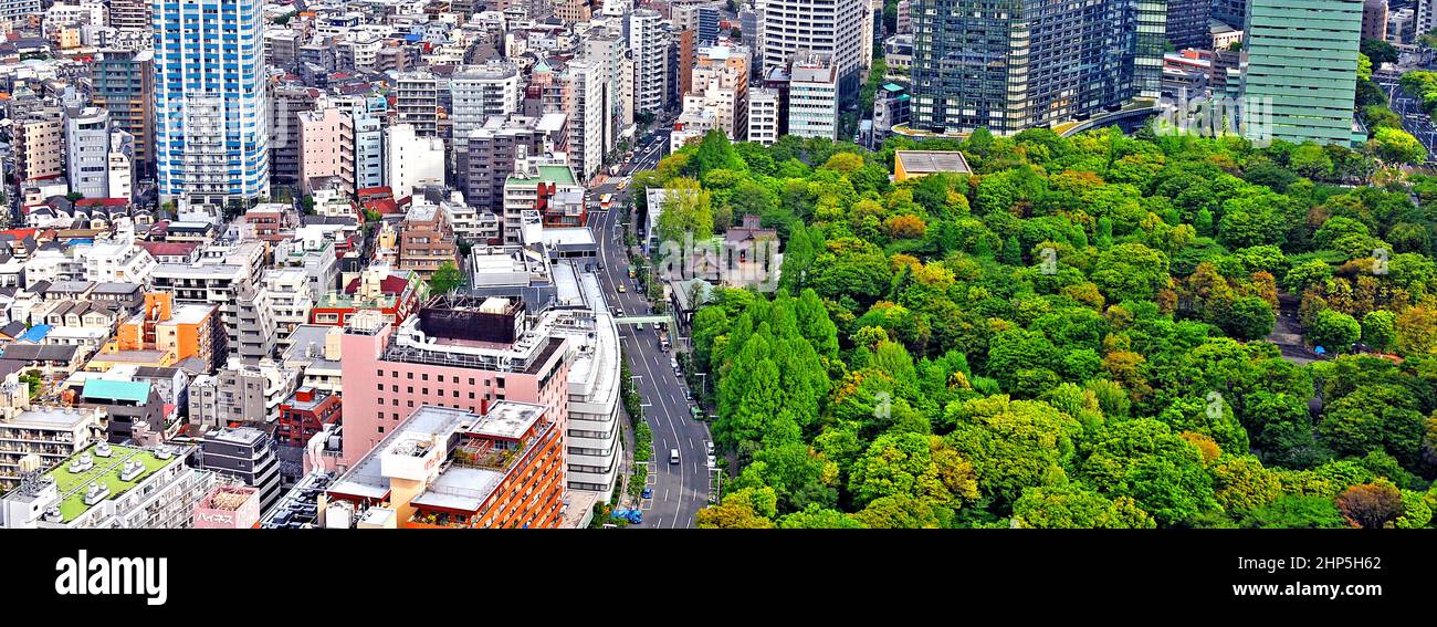 aerial view on west Shinjuku district and Shinjuku Central park ,Tokyo, Japan Stock Photo