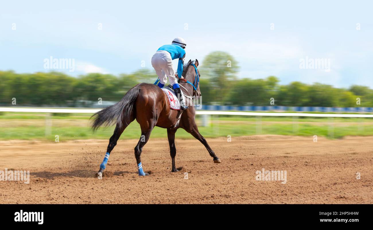 Galloping race horse in racing competition. Jockey on racing horse. Sport. Champion. Hippodrome. Equestrian. Speed Derby Stock Photo