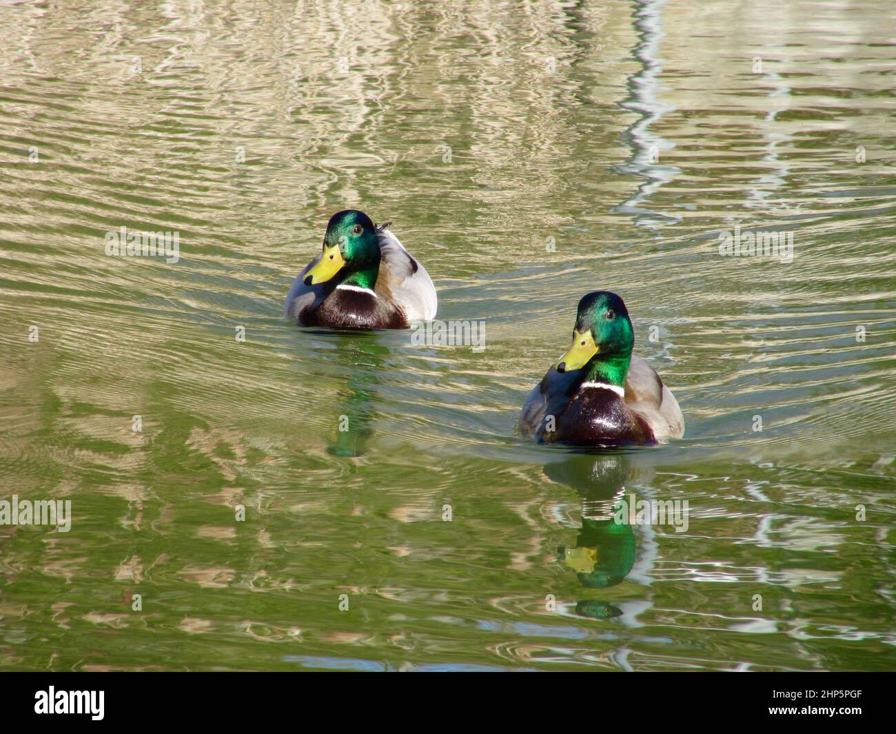 Bright reflections hi-res stock photography and images - Alamy
