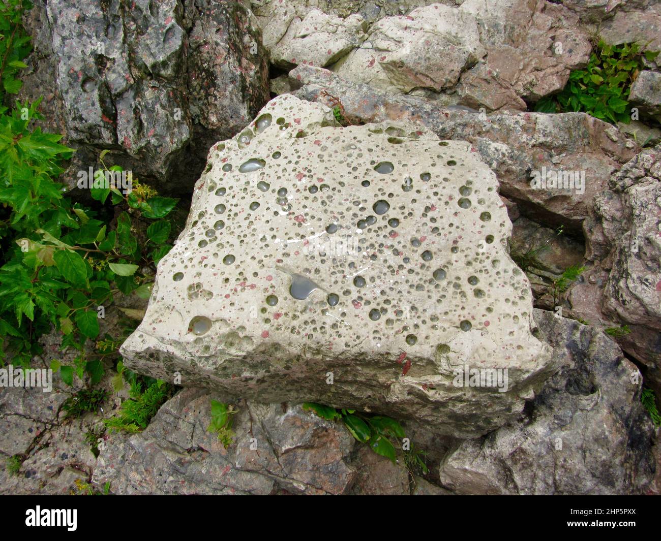 Porous rock with many water filled holes after storm along Georgian Bay ...
