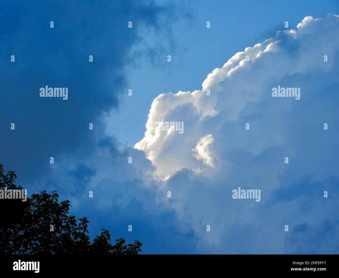 Tree silhouette against blue sky and white clouds hi-res stock ...