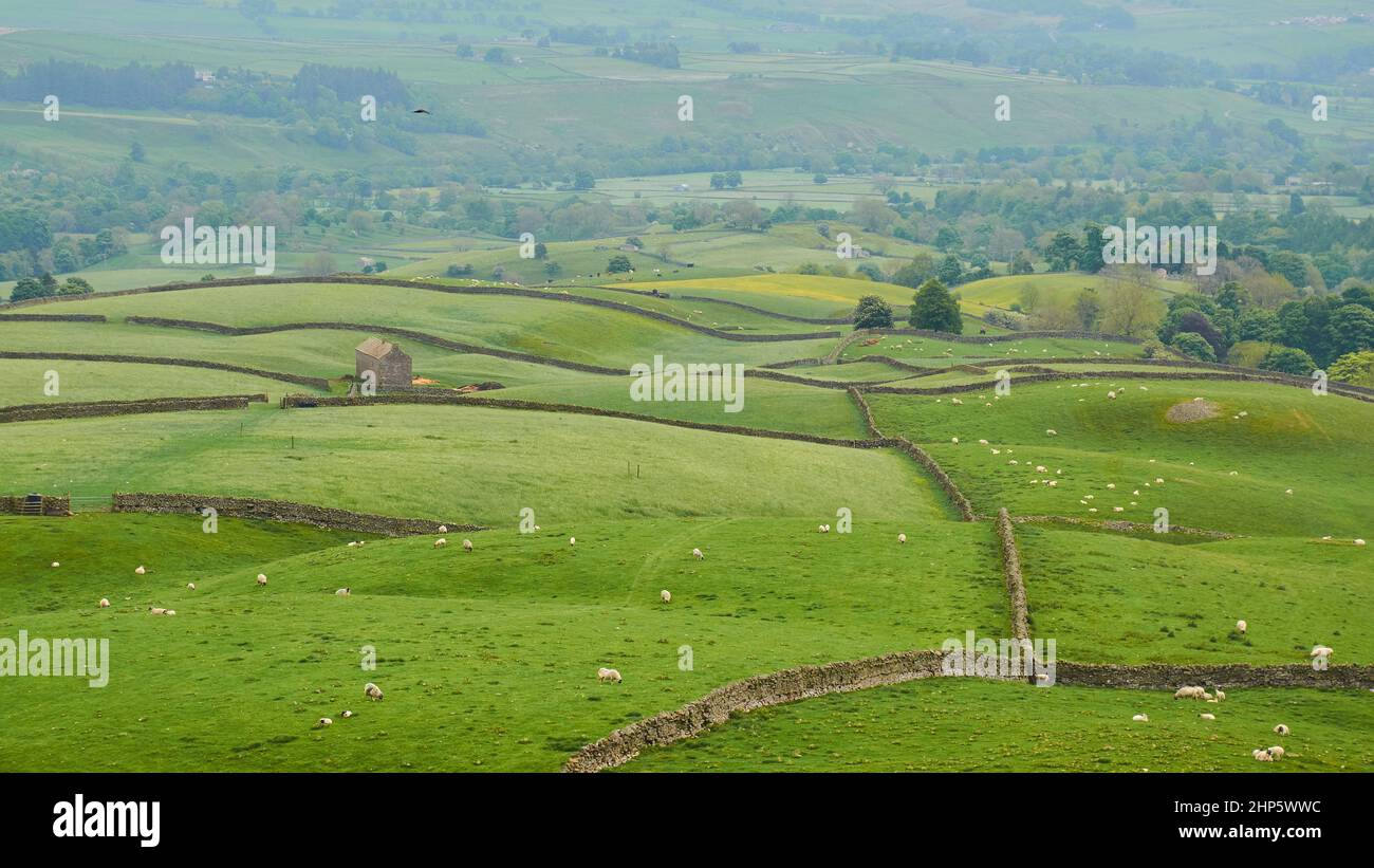 The Durham Dales Stock Photo