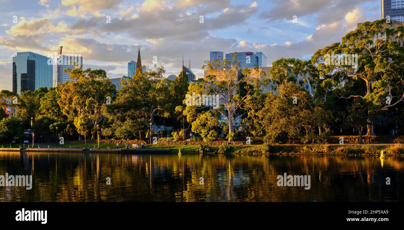 City Trees Stock Photo