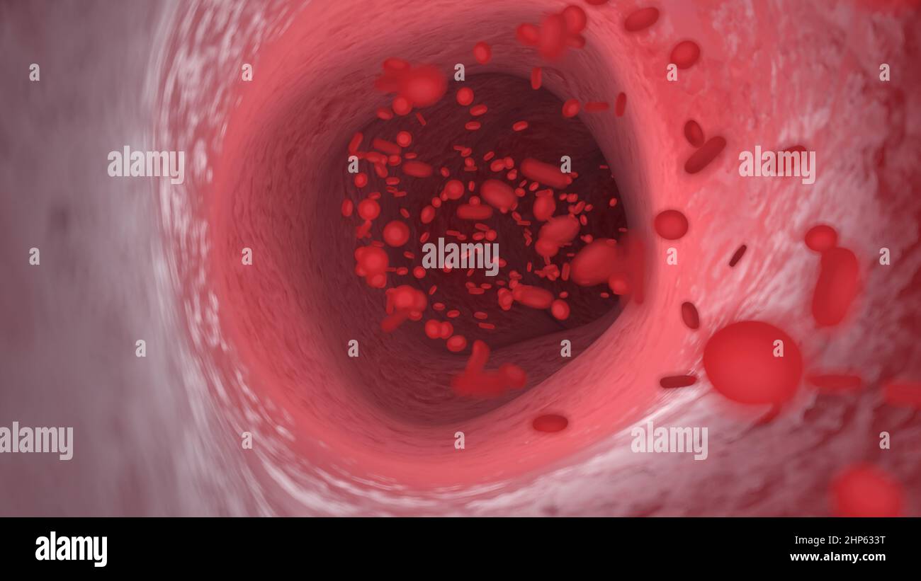 Red blood cells flowing through an artery, illustration Stock Photo - Alamy