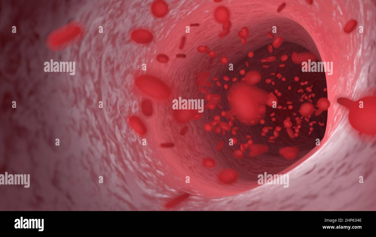 Red blood cells flowing through an artery, illustration Stock Photo - Alamy
