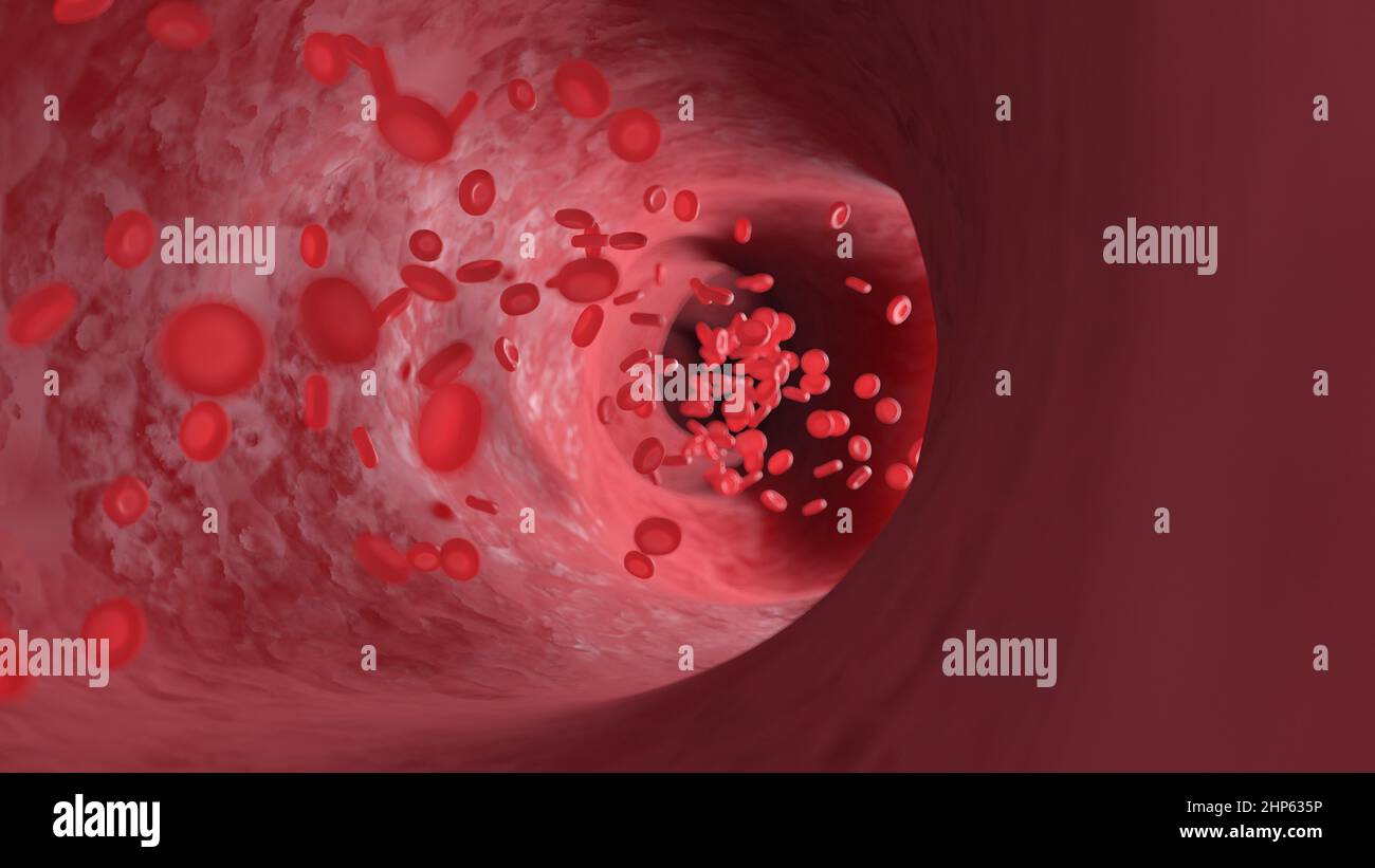 Red blood cells flowing through an artery, illustration. Stock Photo