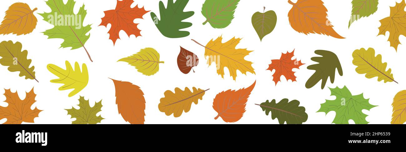 Stock Vector
