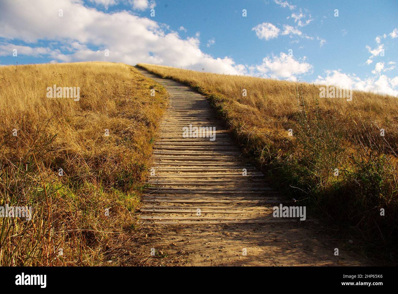 Scenic shot of a trail up a hill of withering grass field with wooden planks for foothold Stock Photo