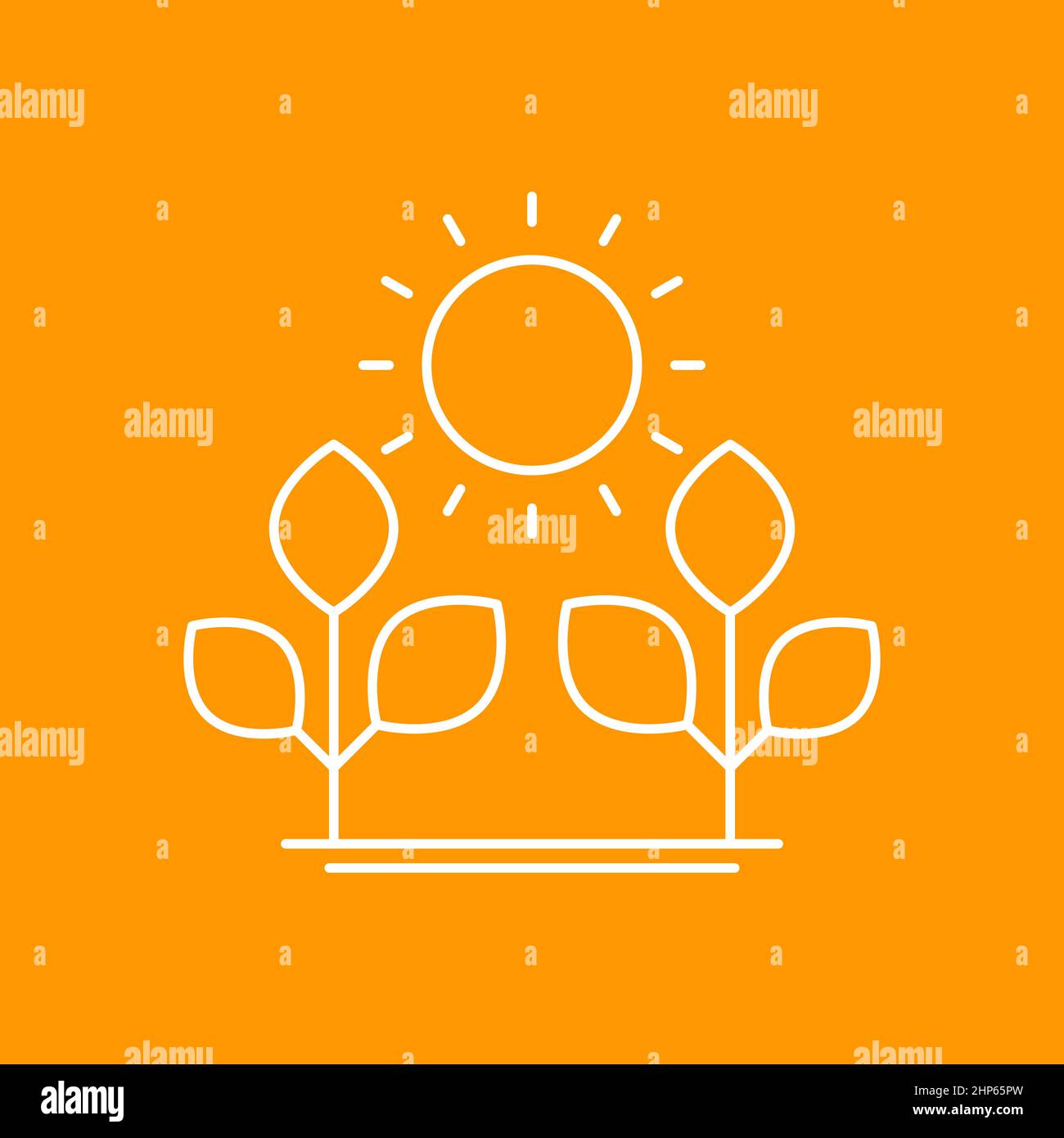 Photosynthesis leaf sun hi-res stock photography and images - Alamy