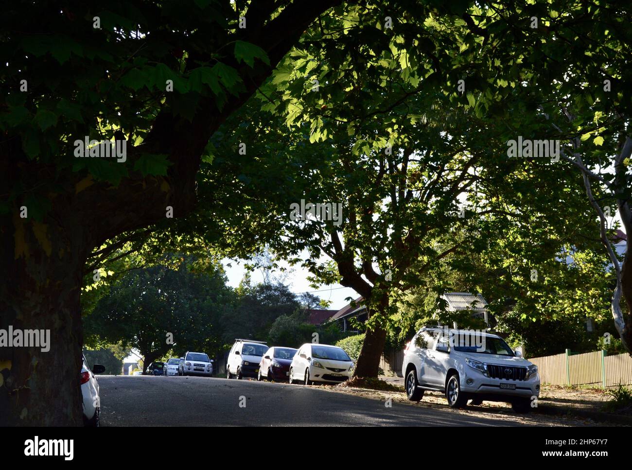Cars parked in a residential street Stock Photo