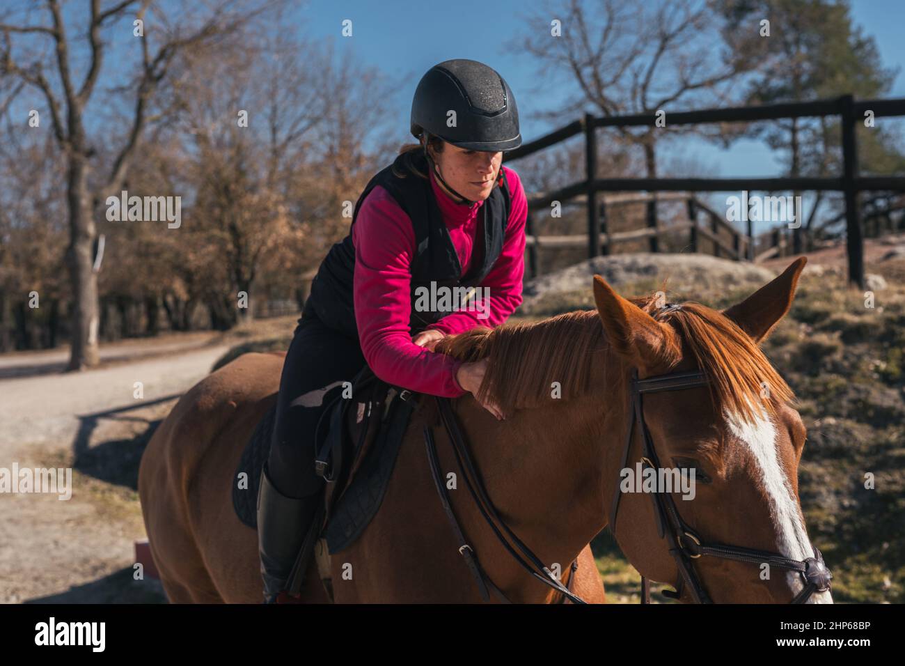 Female riding a horse in a field Stock Photo Alamy