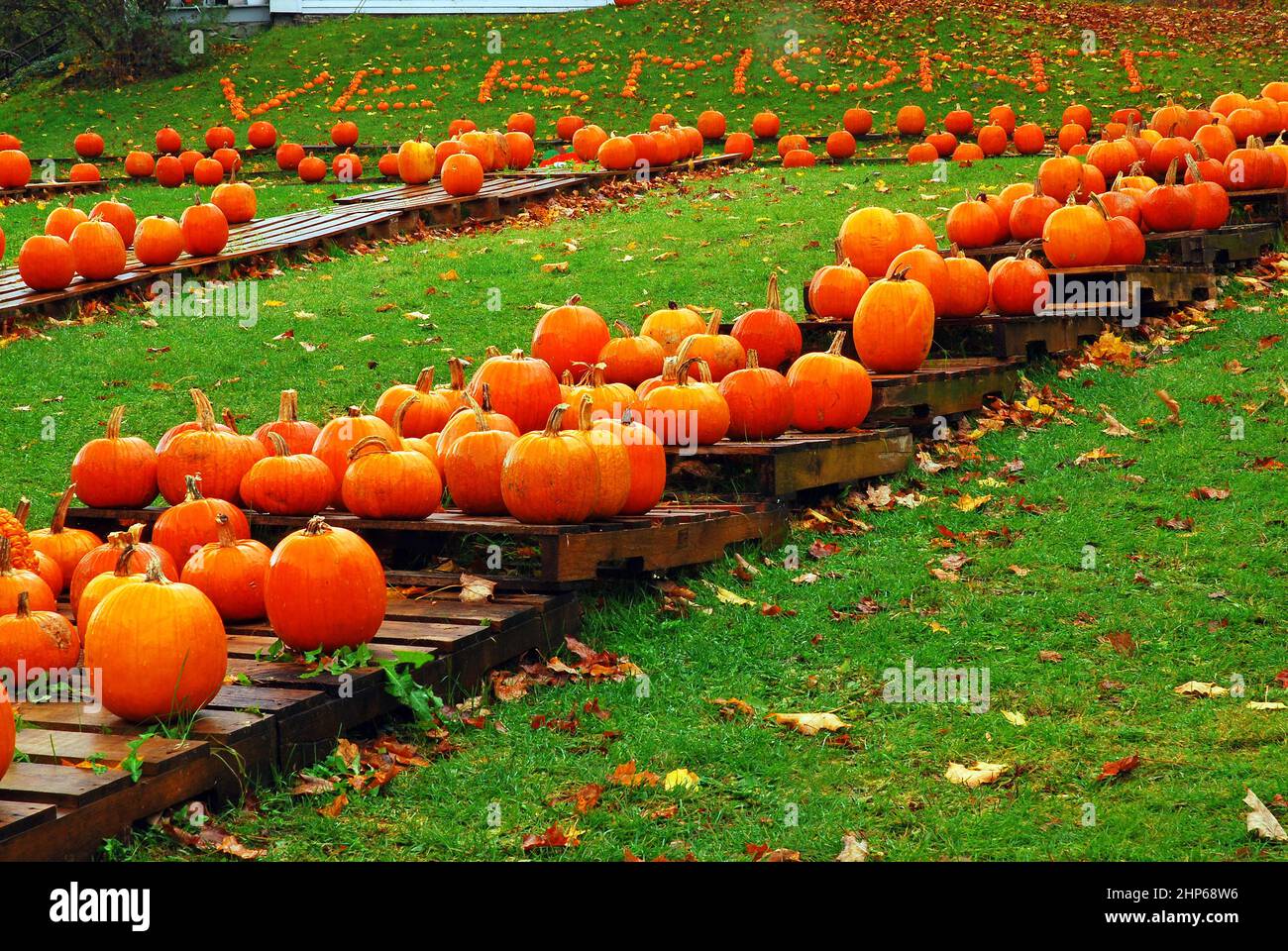 In October a roadside farm reminds visitors they have entered Vermont ...