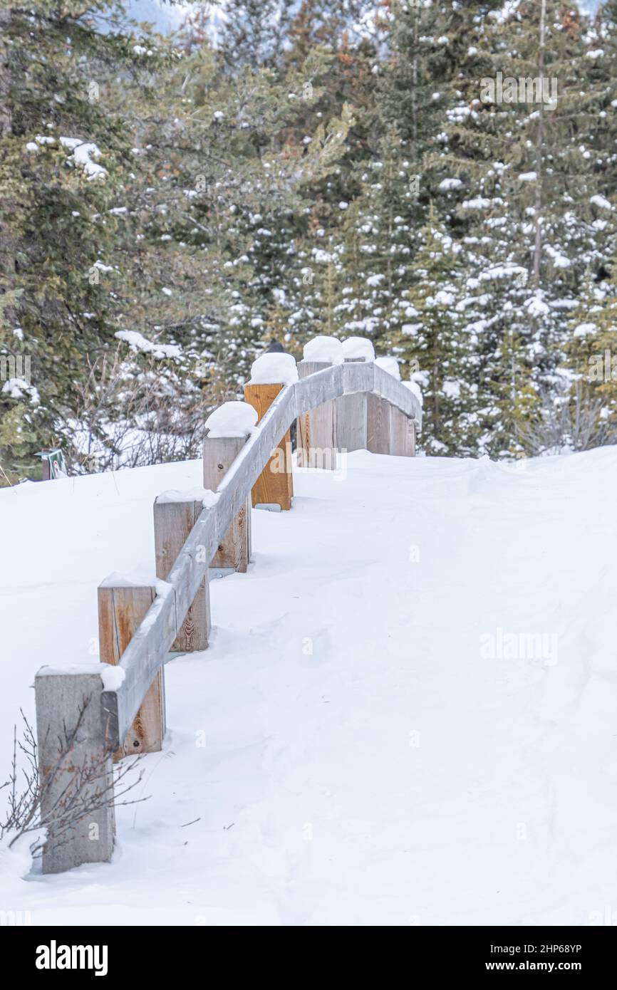 Fence post in snow covered forest in Banff National Park Stock Photo ...