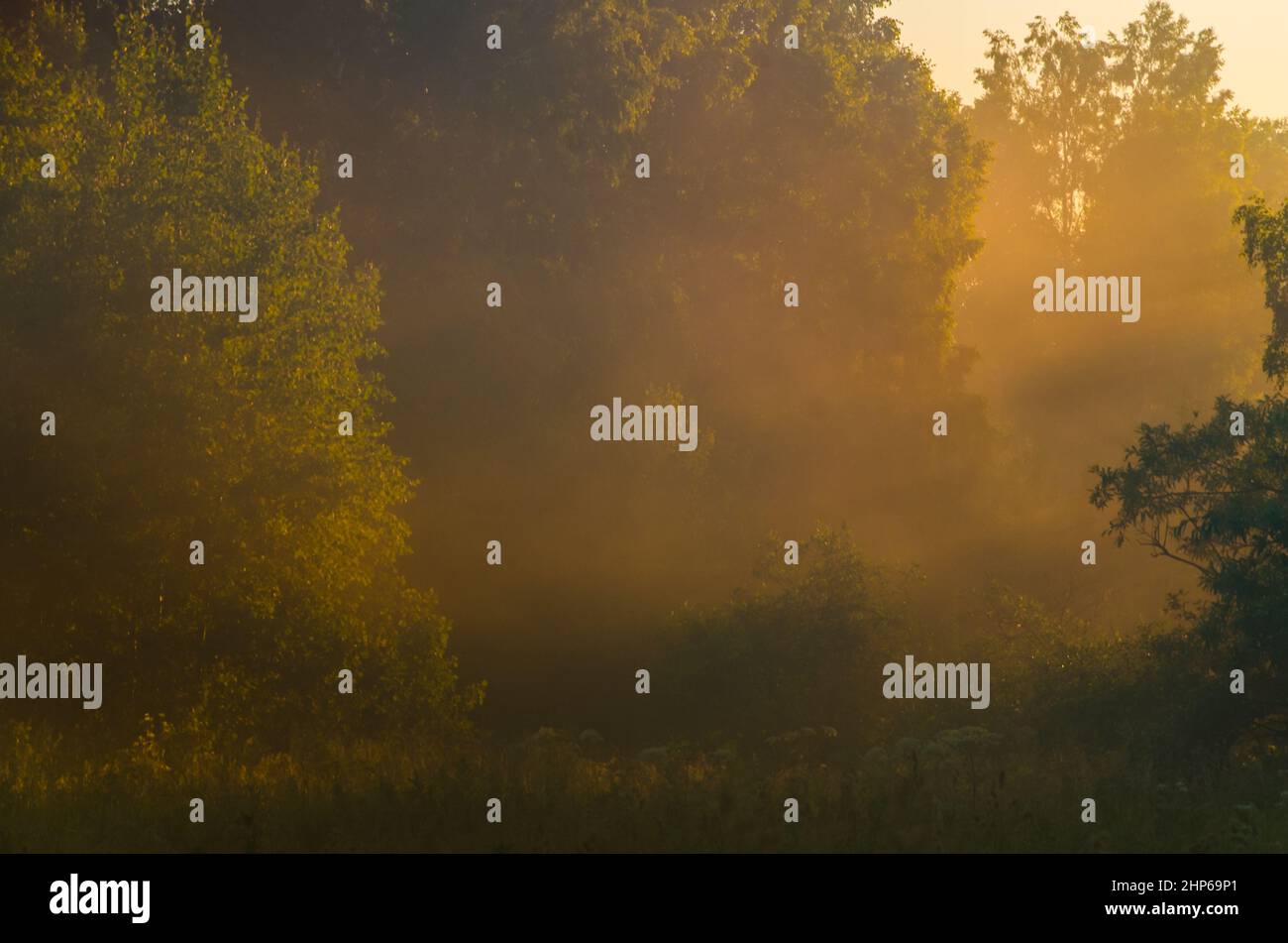 Thick morning fog covers hi-res stock photography and images - Alamy
