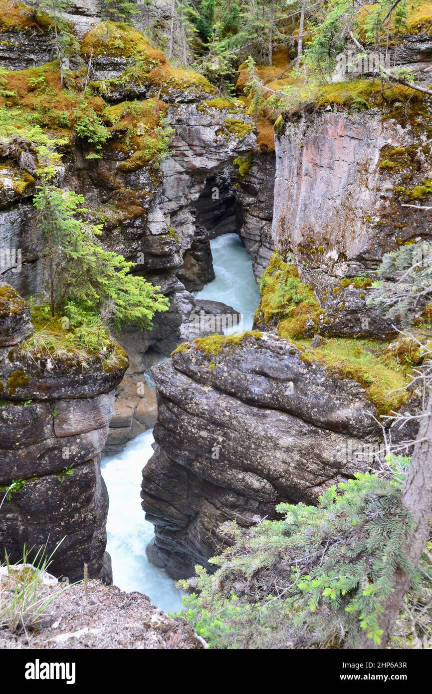Zigzagging cliffs and flowing river at Maligne Canyon in Jasper National Park during Summer Stock Photo