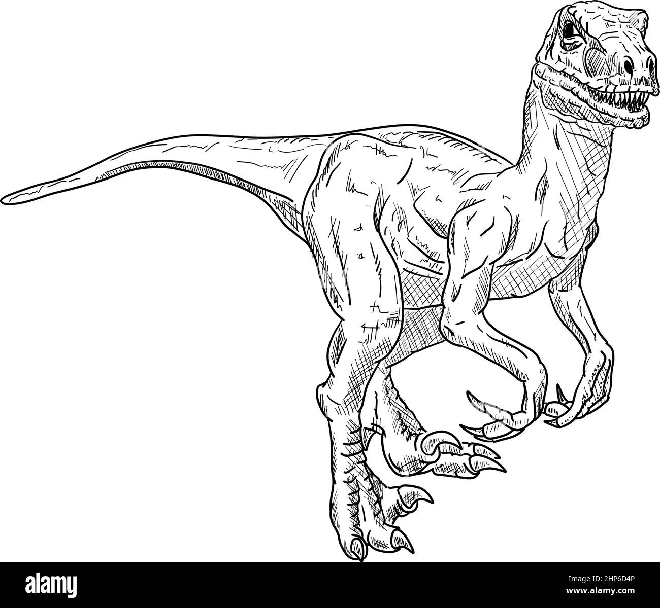 dinosaur sport  illustration Stock Vector