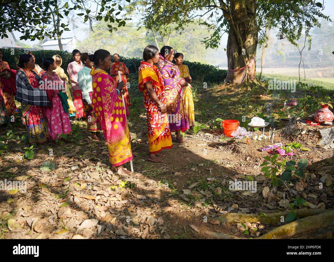 Tea estate workers are conducting puja (worship) prayers and different rituals under banyan trees before they start to pluck new leaves which will be the first for this year. Durgabari tea garden, Agartala. Tripura, India. Stock Photo