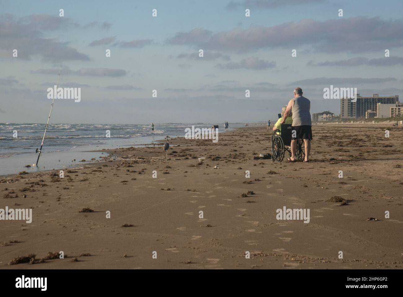 Handicapped enjoying beach Stock Photo Alamy