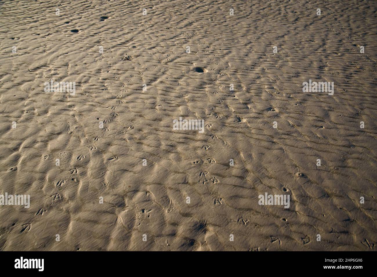 Sand patterns at low tide Stock Photo