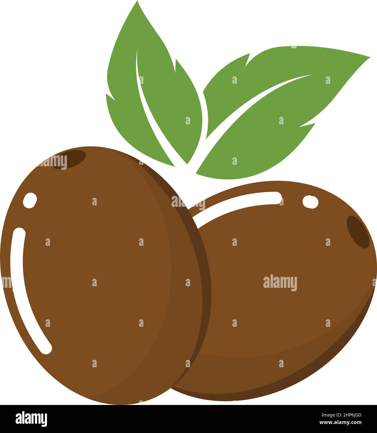 kiwi fruit icon vector illustration design Stock Vector