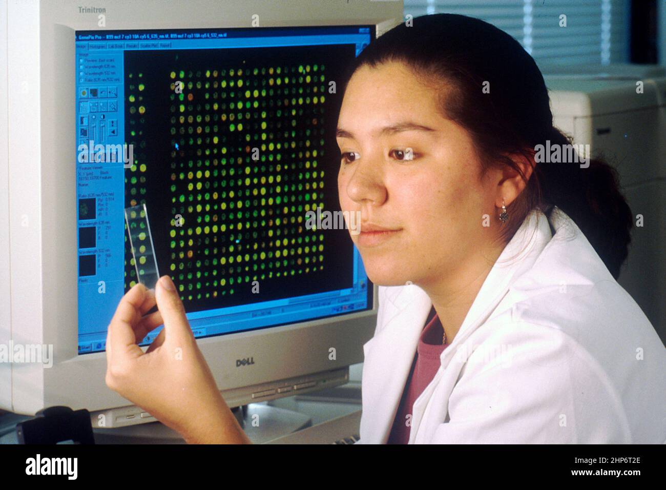 Female Laboratory Technician Sitting At Computer That Displays A Female laboratory technician sitting at computer that displays a
