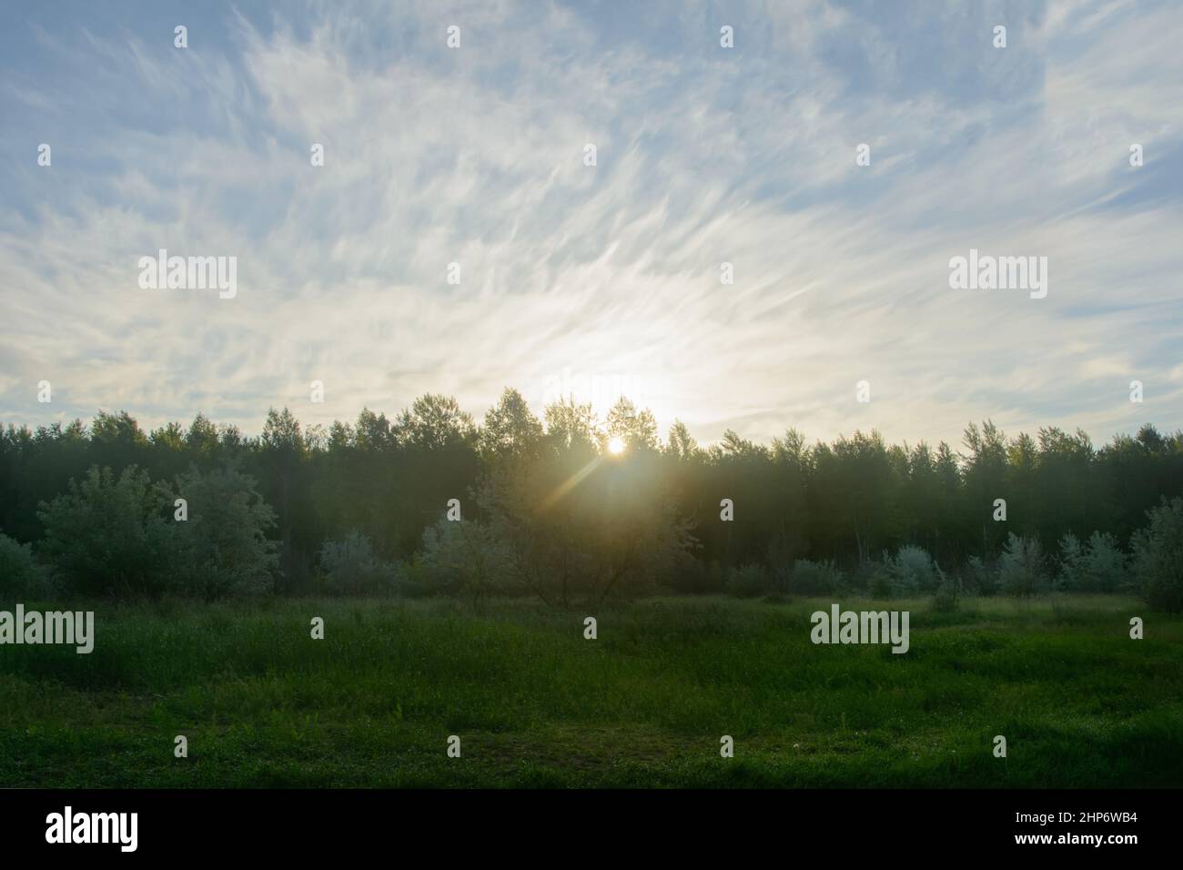 Beautiful sky above the forest in morning sun at dawn. Blurred background, fog view. Stock Photo