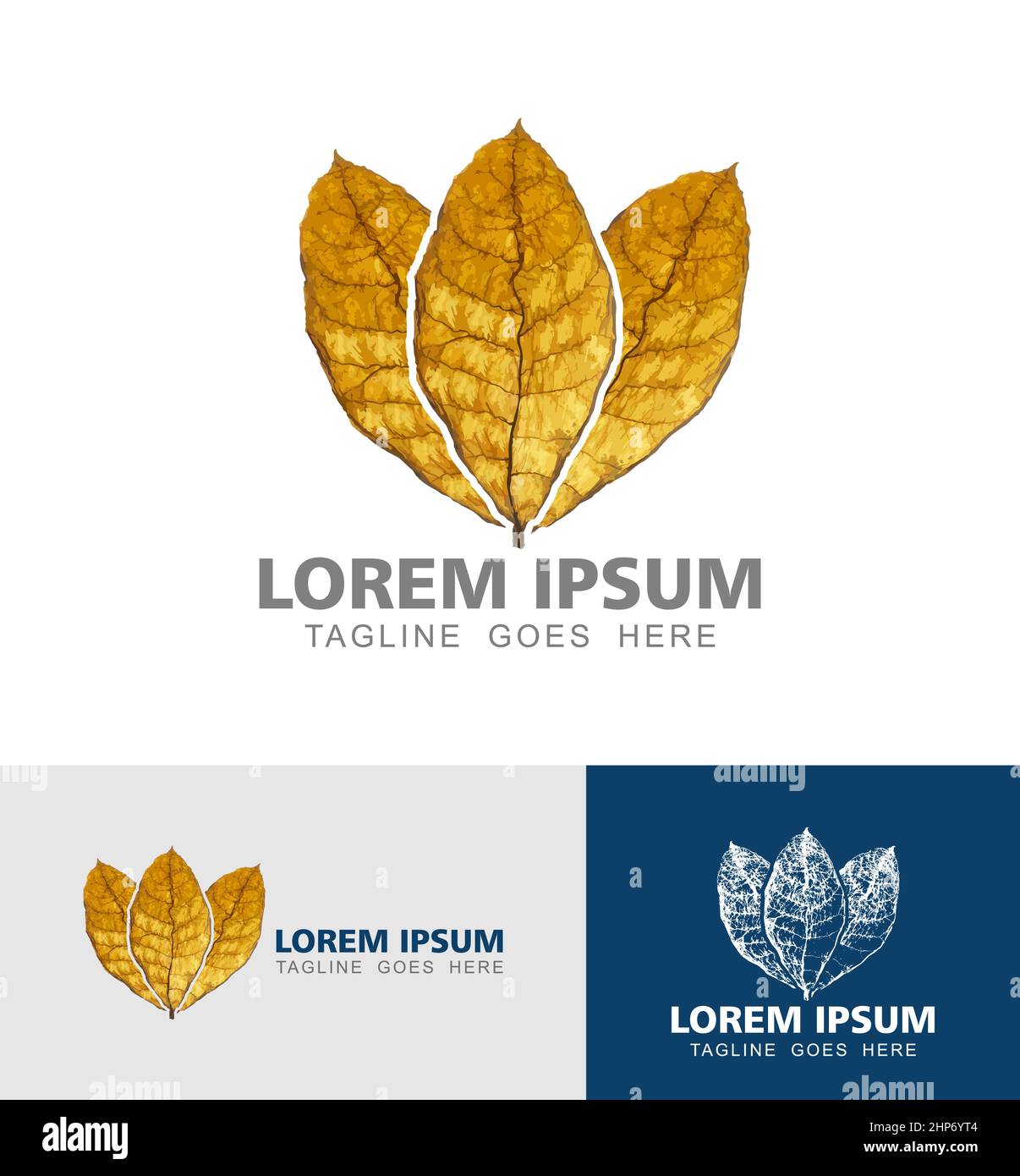 Tobacco Leaf Logo Vector Sign Stock Vector Image & Art - Alamy