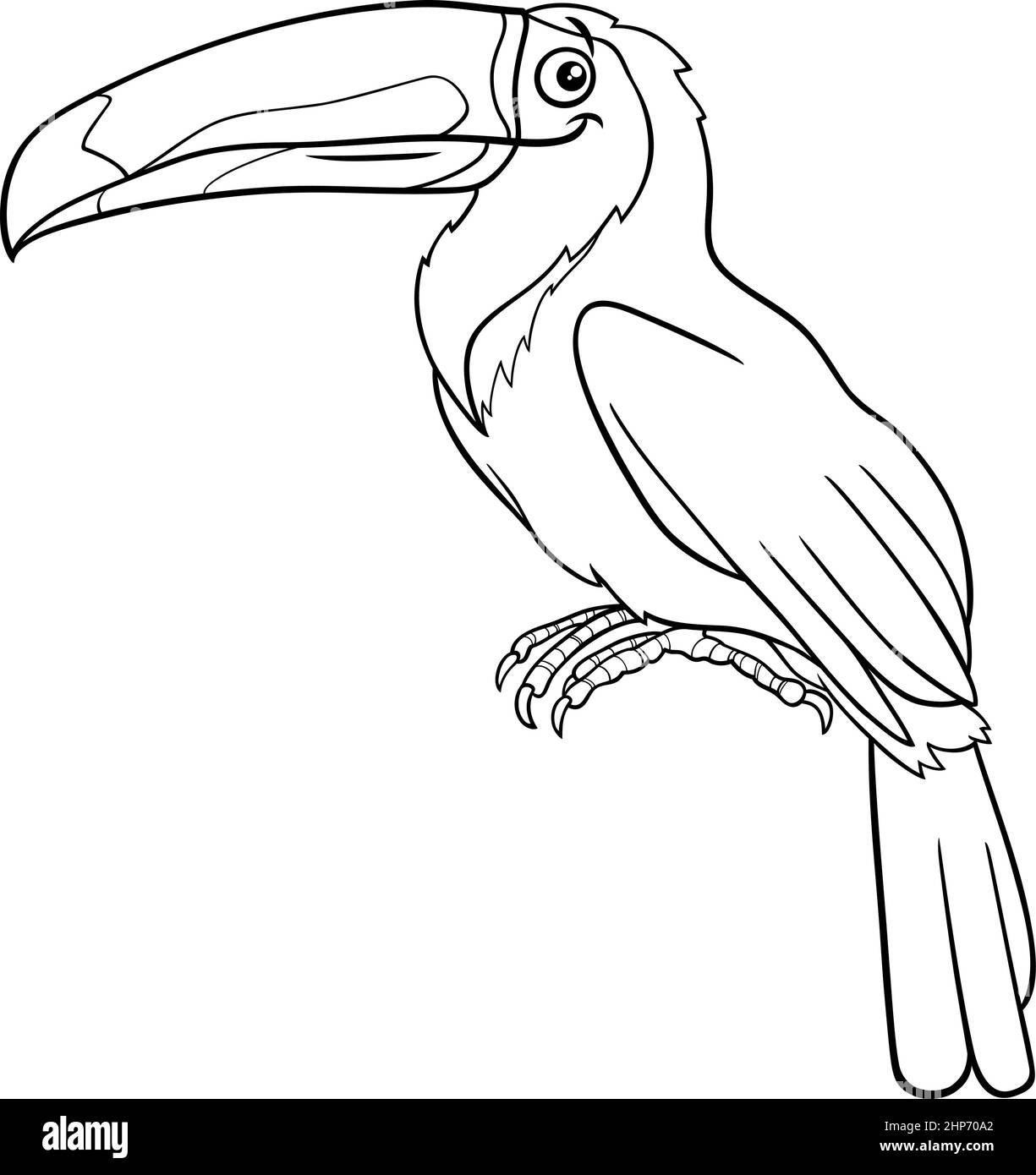 cartoon toucan bird animal character coloring book page Stock Vector