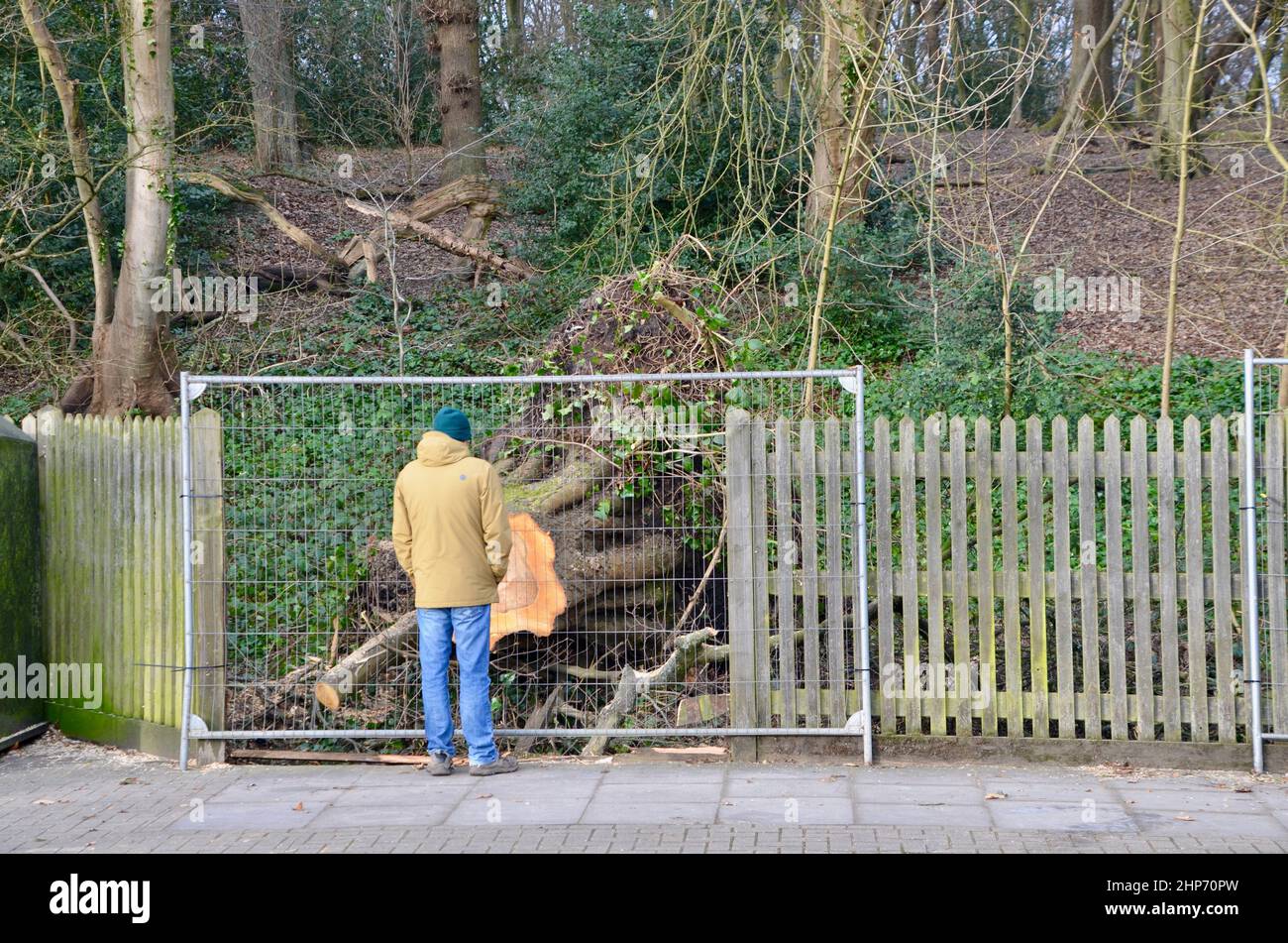 Highgate February 19th feb 2022 highgate wood north london muswell hill road england uk ...