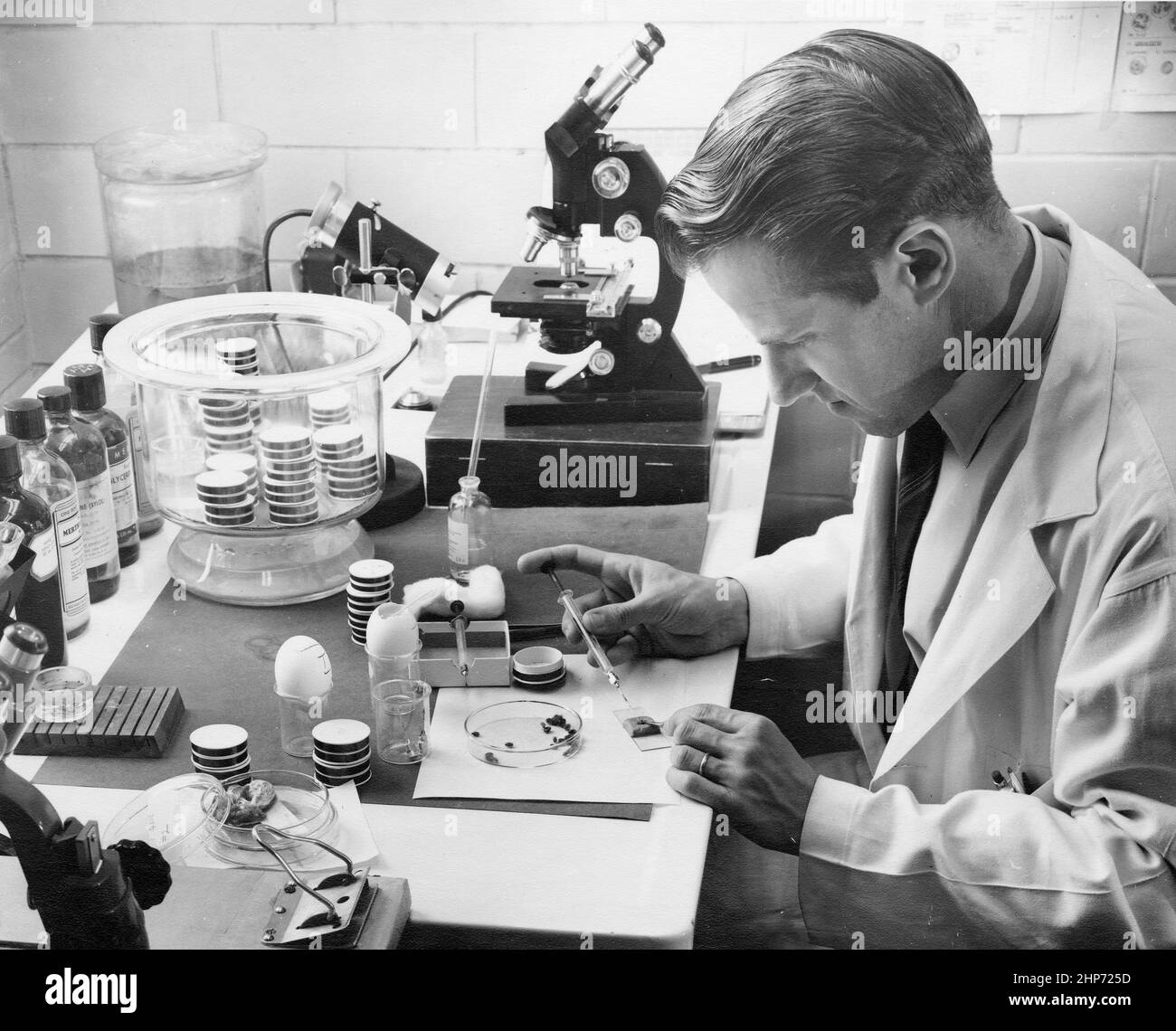 Willy Burgdorfer Hi res Stock Photography And Images Alamy willy-burgdorfer-hi-res-stock-photography-and-images-alamy