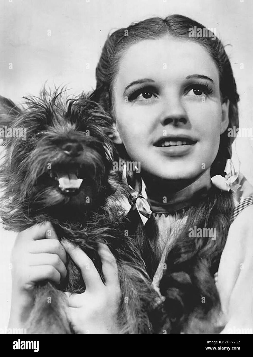 Publicity photo of American entertainer, Judy Garland as Dorothy Gale and American canine performer, Terry as Toto Stock Photo