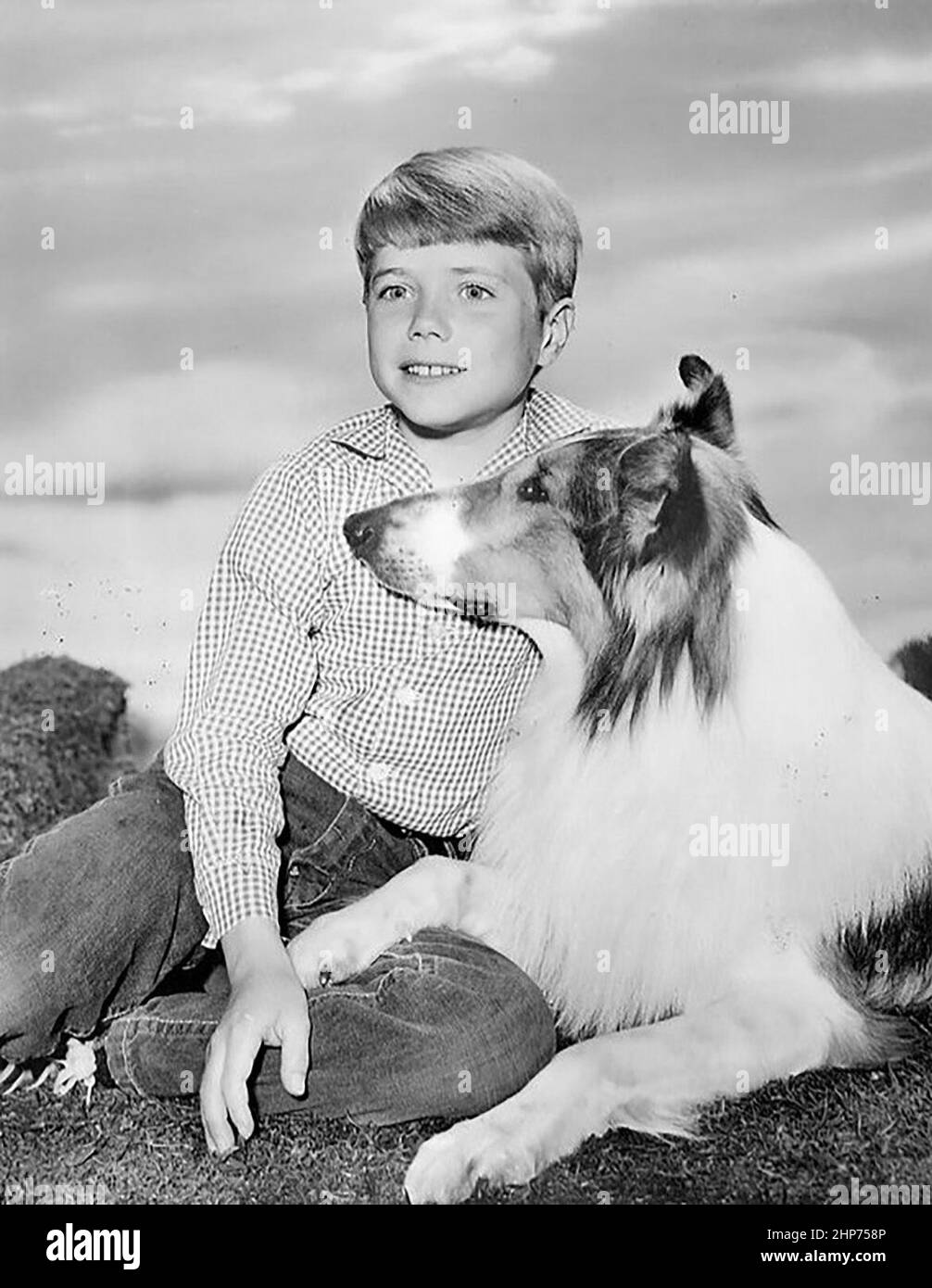 Publicity photo of Jon Provost and Lassie from the television program Lassie. Press release is dated 14 September 1962. Stock Photo