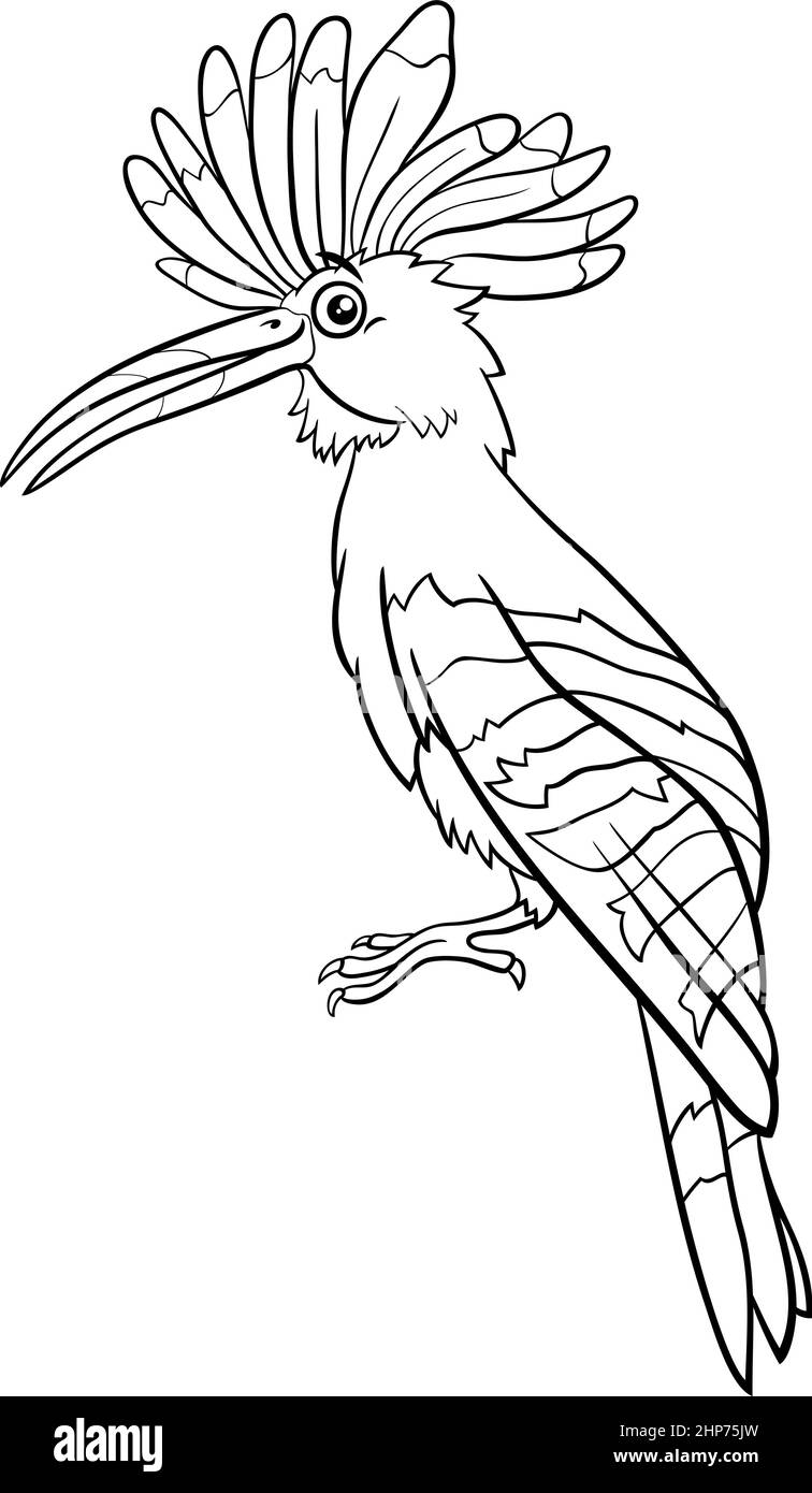 cartoon hoopoe bird animal character coloring book page Stock Vector