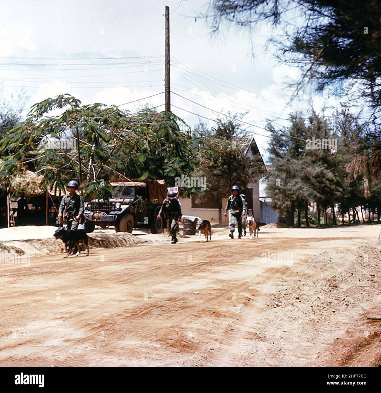 Wardogs and their handlers in front of 3d MAF Headquarters in DaNang ...