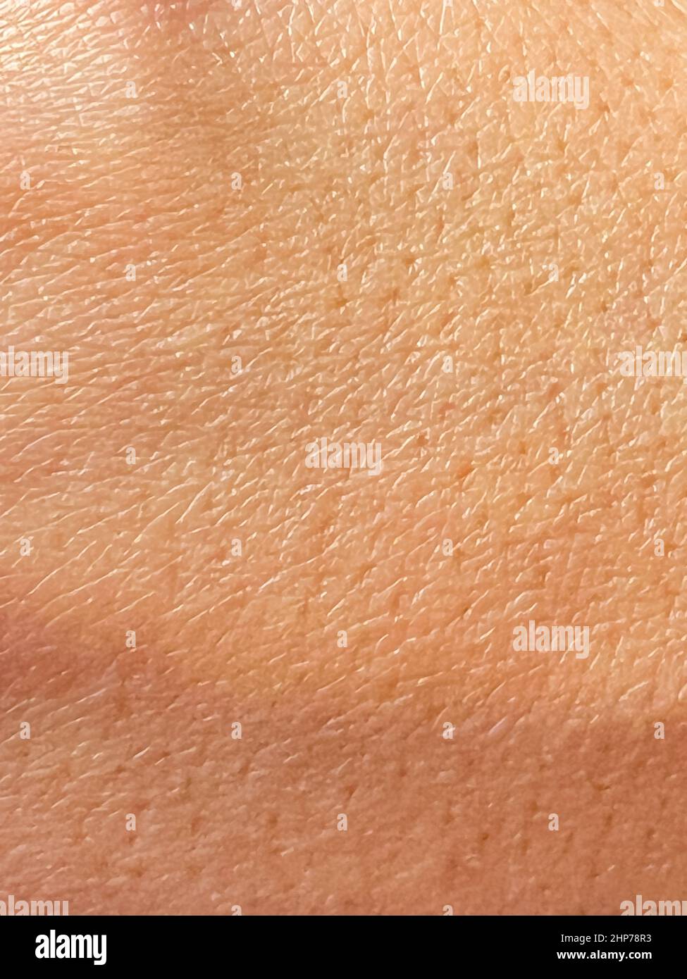 macro close up pores of young woman skin, skin texture pattern Stock Photo