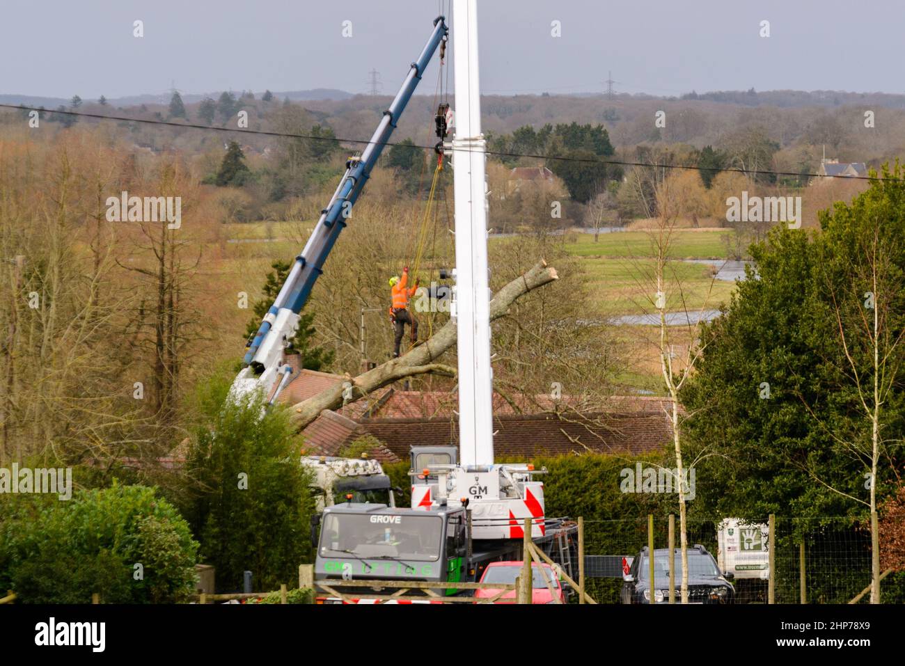 New Forest, Hampshire, UK, 19th February 2022, Weather: Engineers work to recover a fallen tree embedded in the roof of a property near Fordingbridge. A clearing up operation is in progress across England and Wales in the wake of Storm Eunice which caused widespread damage with 80mph winds yesterday. Credit: Paul Biggins/Alamy Live News Stock Photo