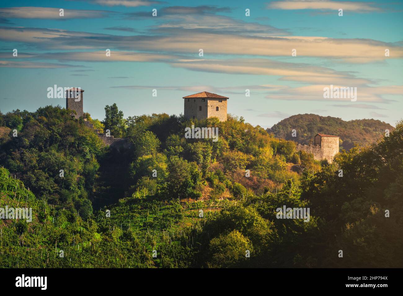 Prosecco Hills, vineyards and Credazzo Towers. Unesco World Heritage Site. Farra di Soligo. Veneto, Italy, Europe. Stock Photo