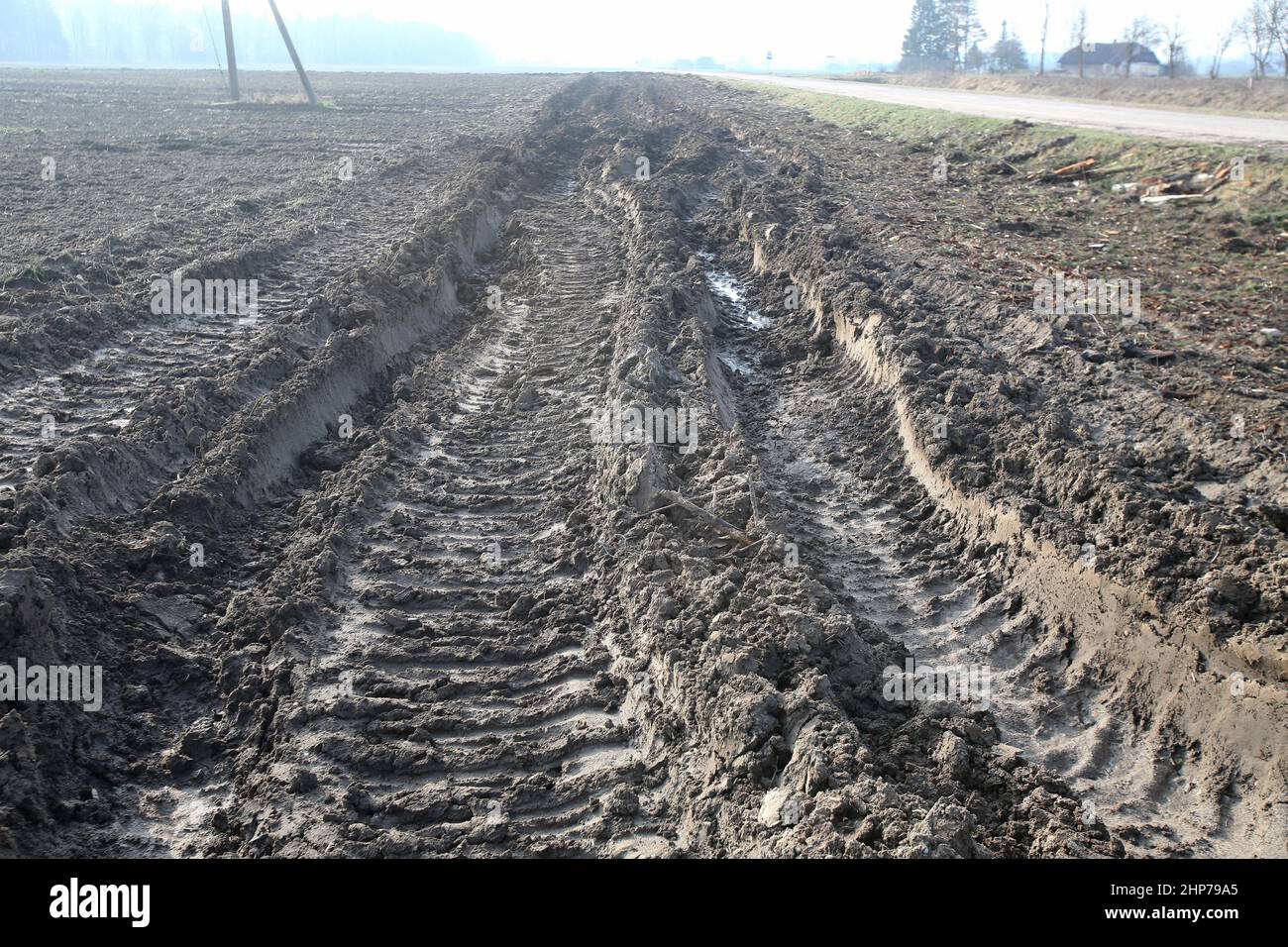Tractor tracks on wet ground. Damaged fields cultivated by farmers