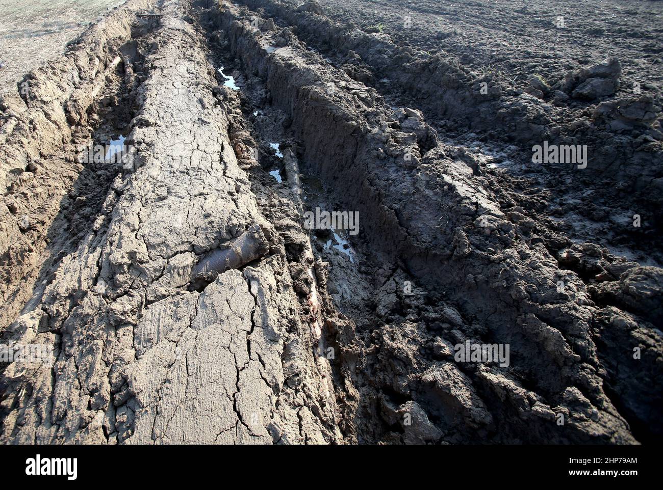Tractor tracks on wet ground. Damaged fields cultivated by farmers
