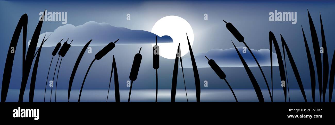 Stock Vector