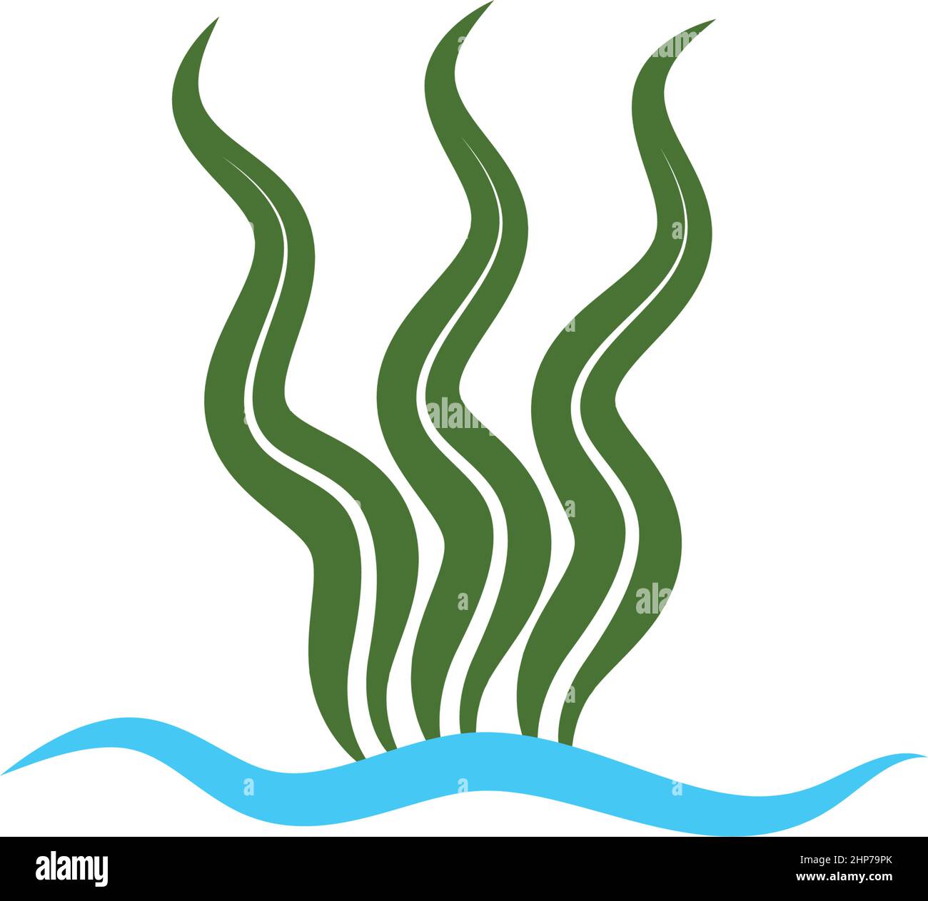 algae vector symbol icon design. Beautiful illustration isolated on white  background Stock Vector Image & Art - Alamy