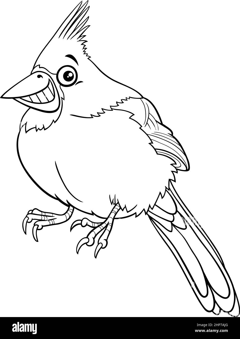 cartoon northern red cardinal bird character coloring book page Stock Vector