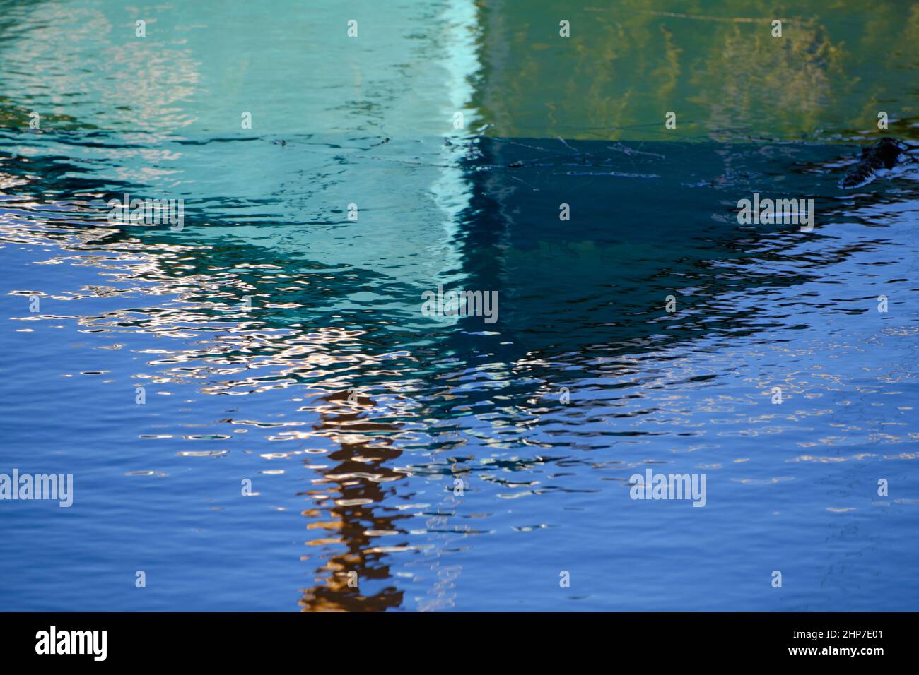 In The Water Stock Photo