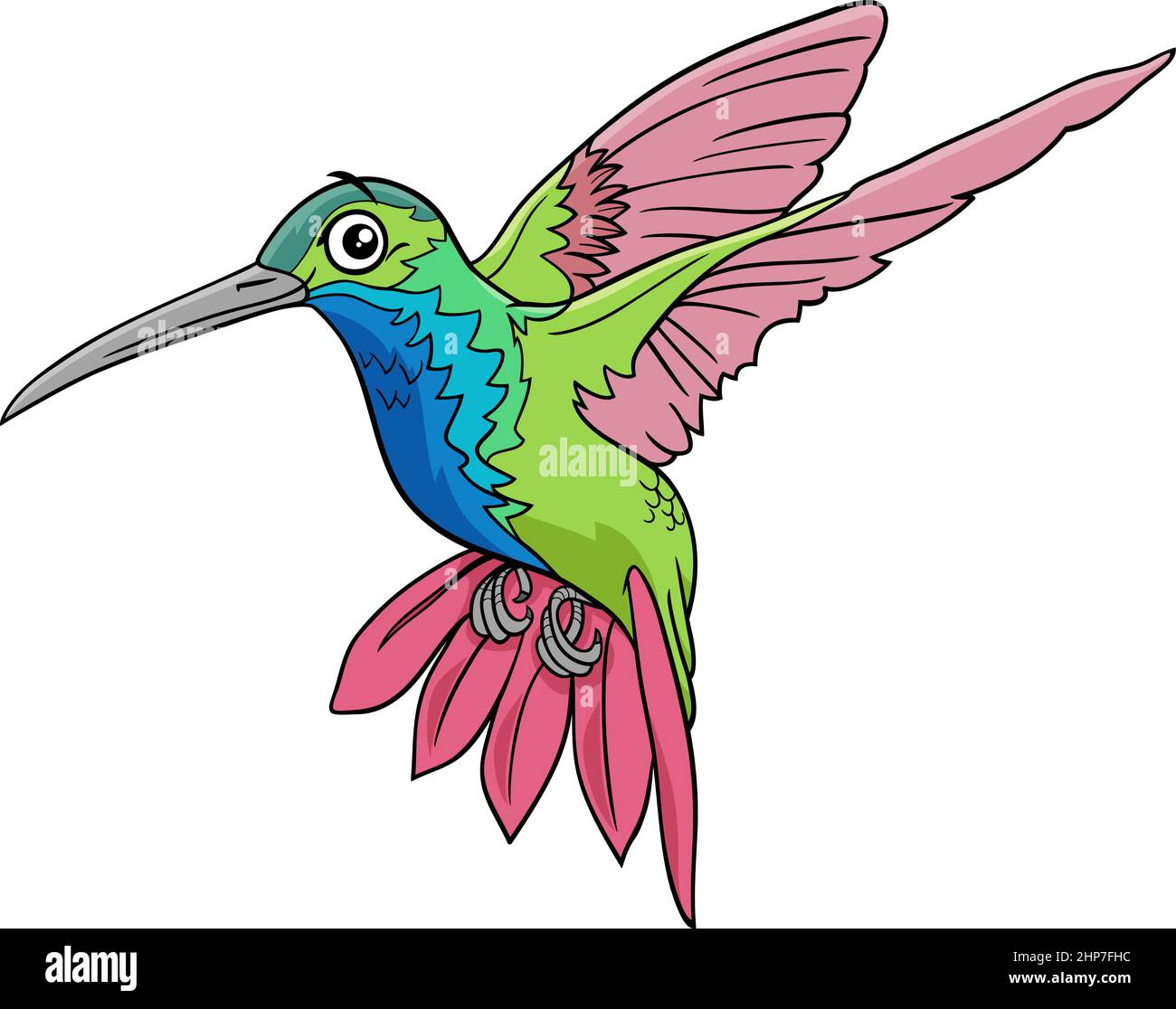 hummingbird bird animal character cartoon illustration Stock Vector