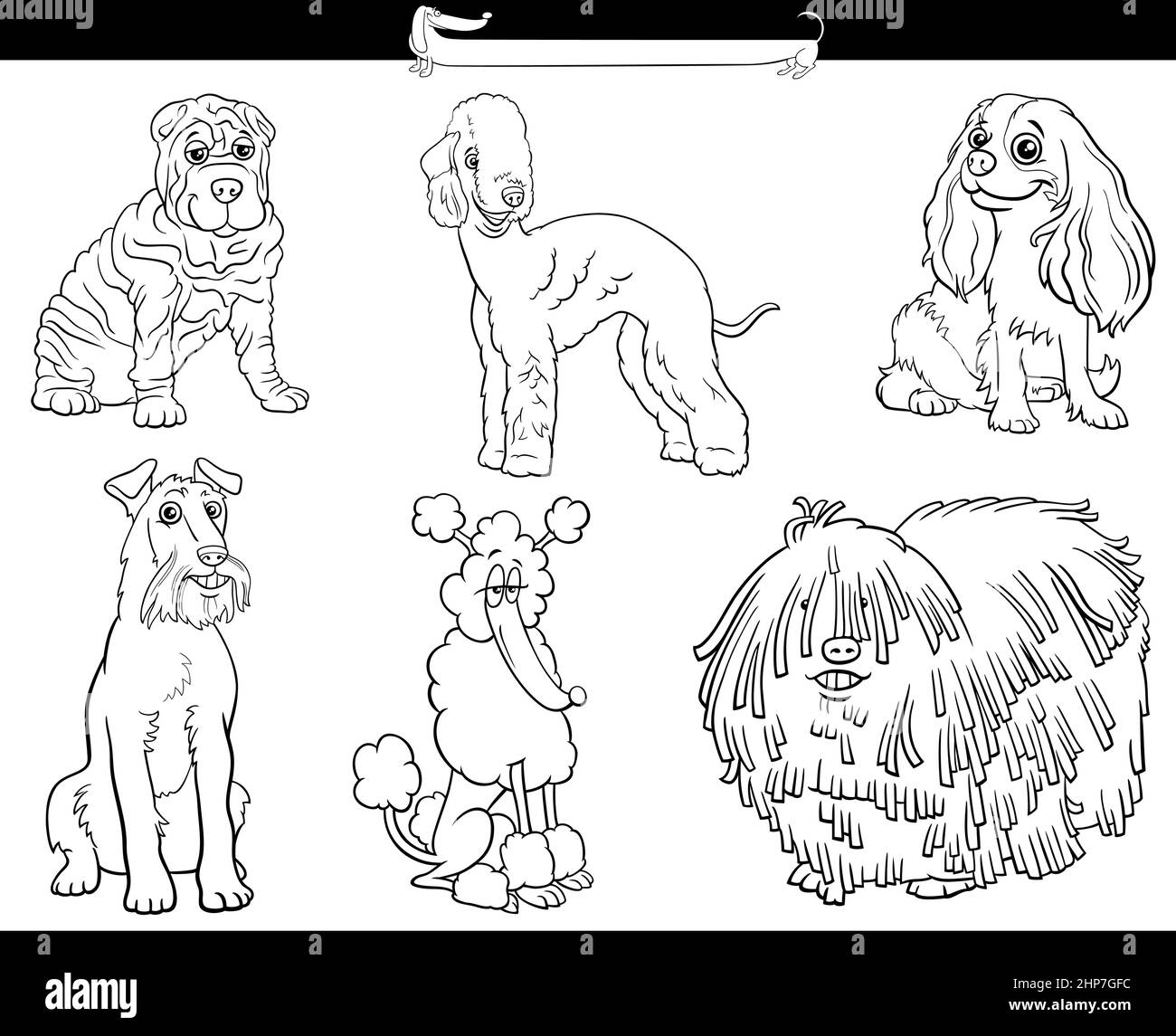 cartoon purebred dogs comic characters set coloring book page Stock Vector