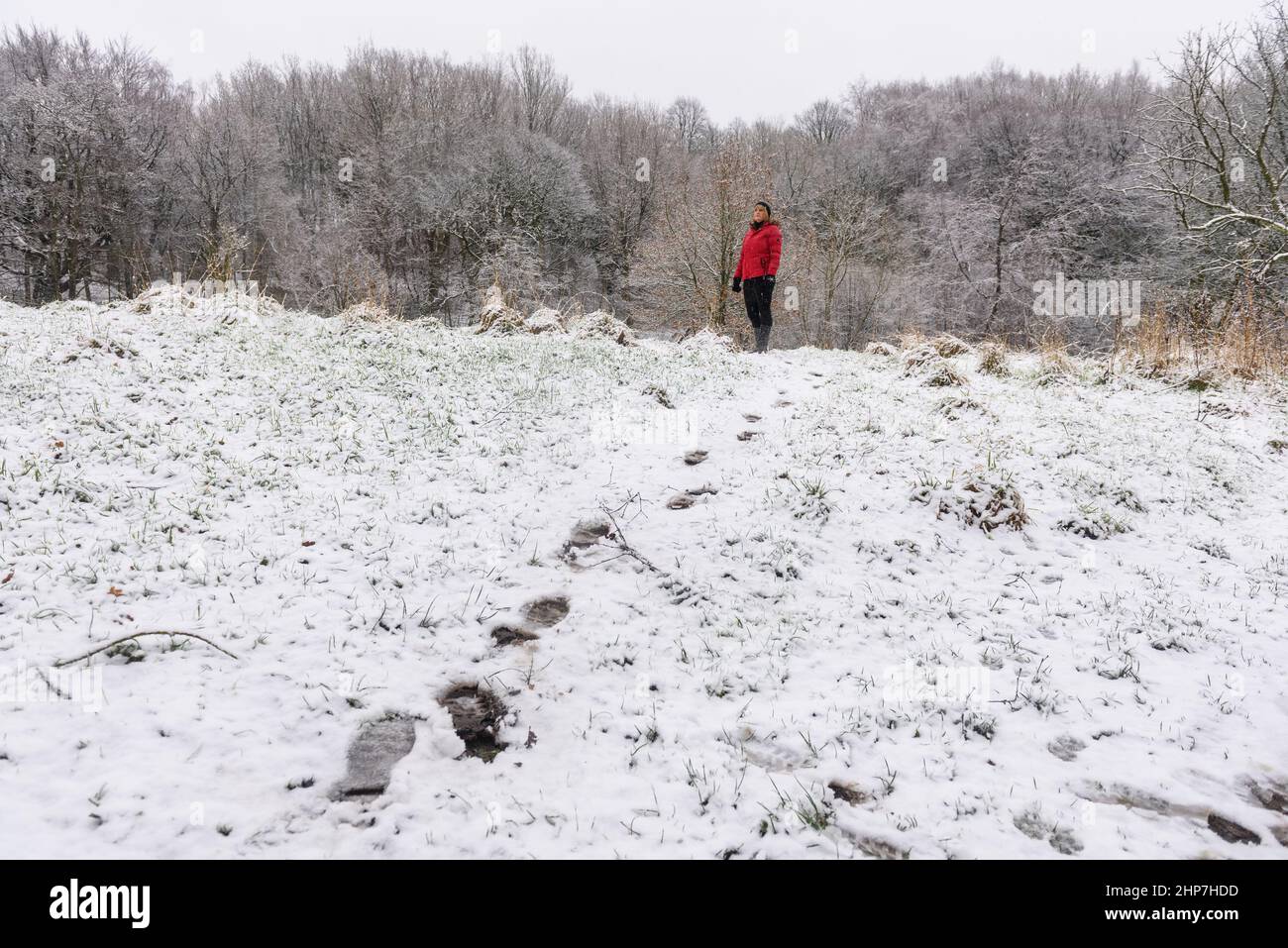 Bolton, Lancashire, UK, Saturday February 19, 2022. A woman walks through the snow in Leverhulme Park, Bolton, as the lastst weather front dumps a covering of snow in the North West of England. Credit: Paul Heyes/Alamy News Live Stock Photo