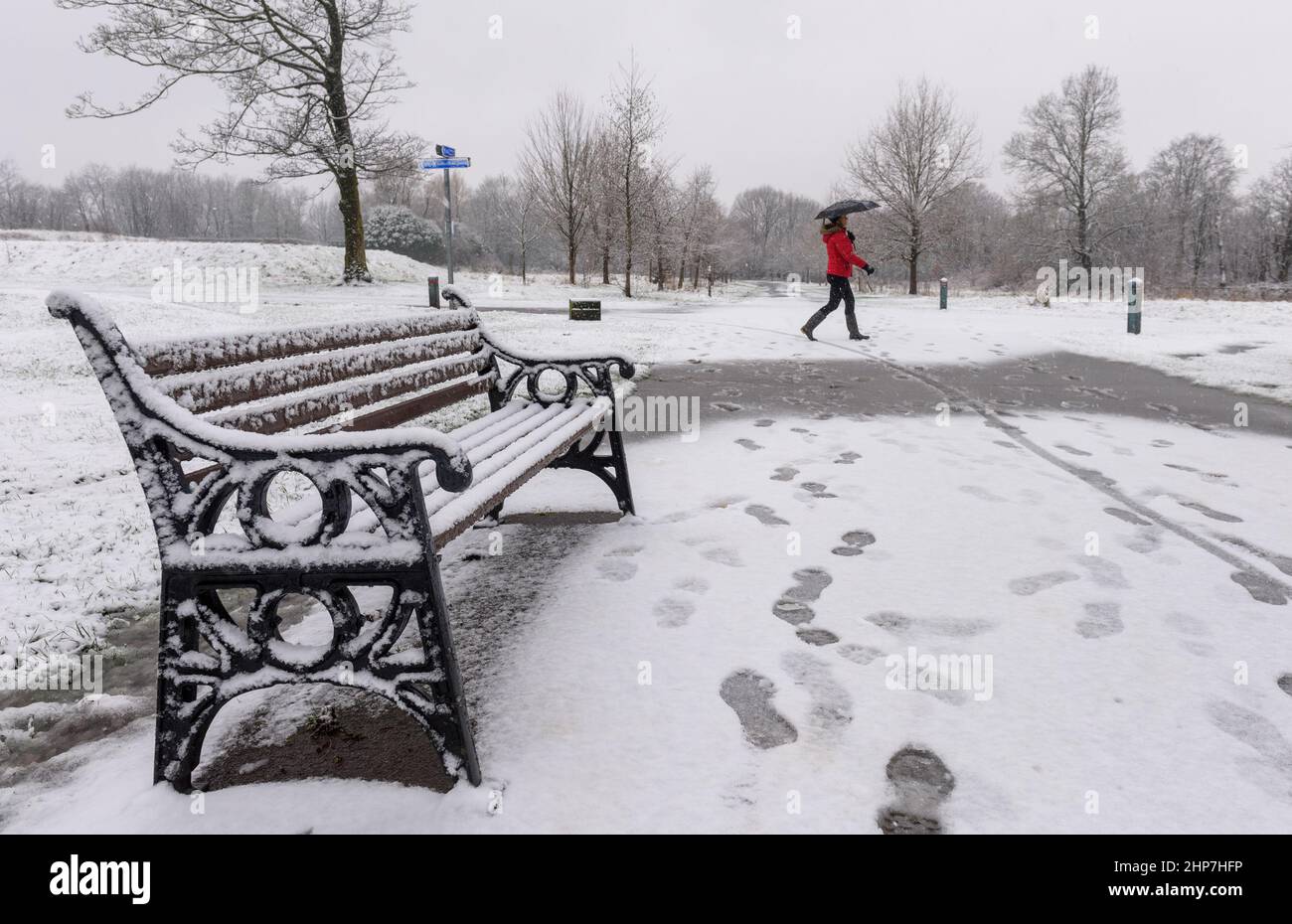Bolton, Lancashire, UK, Saturday February 19, 2022. A woman walks through the snow in Leverhulme Park, Bolton, as the lastst weather front dumps a covering of snow in the North West of England. Credit: Paul Heyes/Alamy News Live Stock Photo