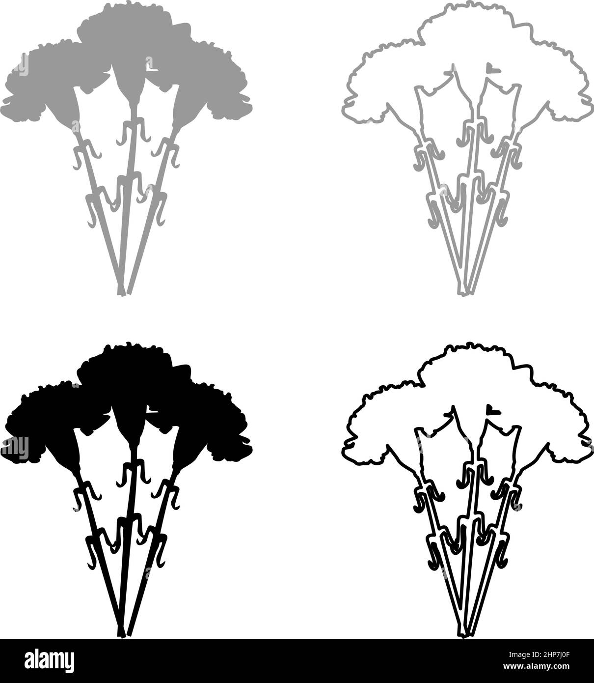 Bouquet of flowers Carnation set icon grey black color vector