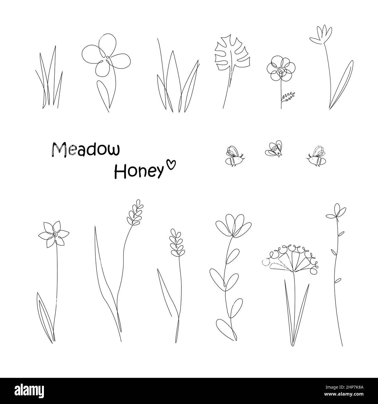 Continuous Line Drawing Set Of Meadow Plants and Bees. Honey Flowers Isolated on White Background, One Line Illustration. Vector Minimalist Prints Set Stock Vector