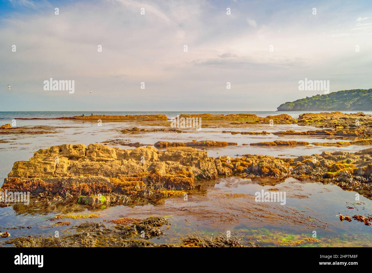 Rock pools by Peveril Point Swanage Stock Photo